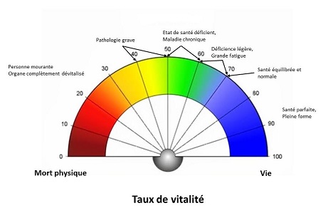 tauxvit